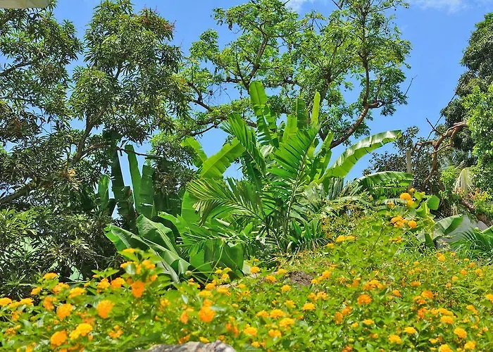 Petit Baie Au Cap (Mahe)