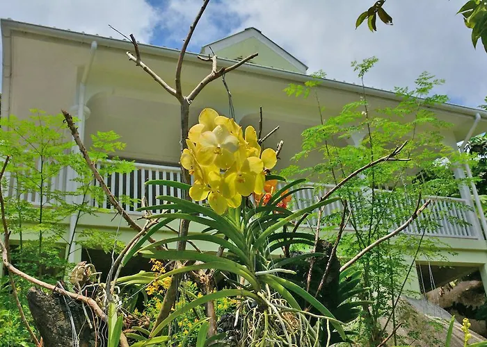 Alpstuga Petit Baie Au Cap (Mahe)